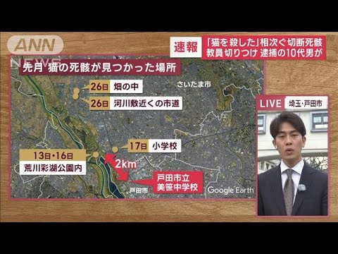 教員“切りつけ”逮捕の10代男が「猫を殺した」…相次ぐ切断死骸(2023年3月1日)