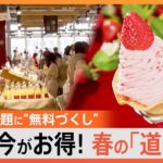 【のぞき見】100種類超えの限定いちごスイーツビュッフェに…焼き立てのパンが“無料で”もらえる！？行くなら今！進化が止まらない道の駅！｜TBS NEWS DIG