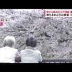 【桜の名所】鶴ケ城で1000本　宇都宮、世界遺産の山も「満開」(2023年3月30日)