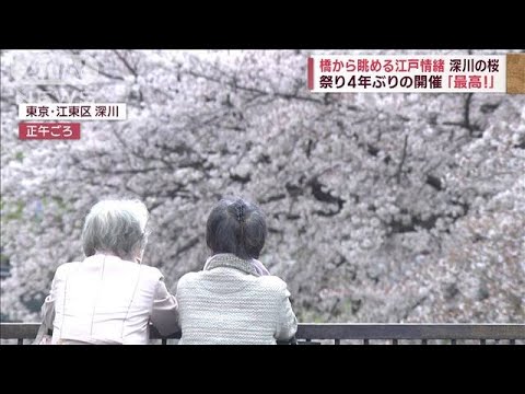 【桜の名所】鶴ケ城で1000本　宇都宮、世界遺産の山も「満開」(2023年3月30日)