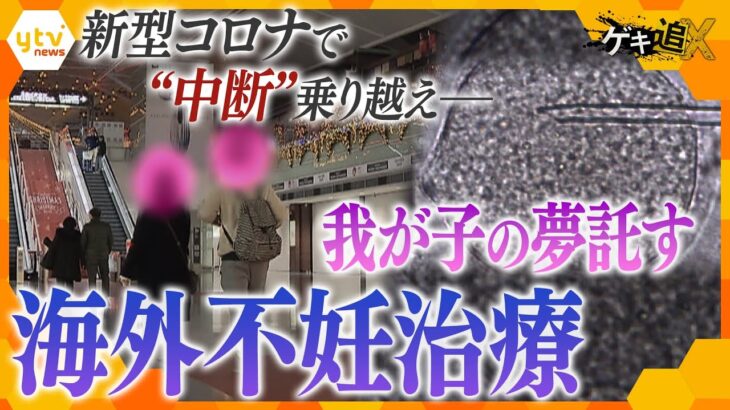 日本人男性100人に1人が直面する『無精子症』　「わが子に会いたい」…海外治療に夢を託す夫婦の歩み【かんさい情報ネット ten.特集/ゲキ追】