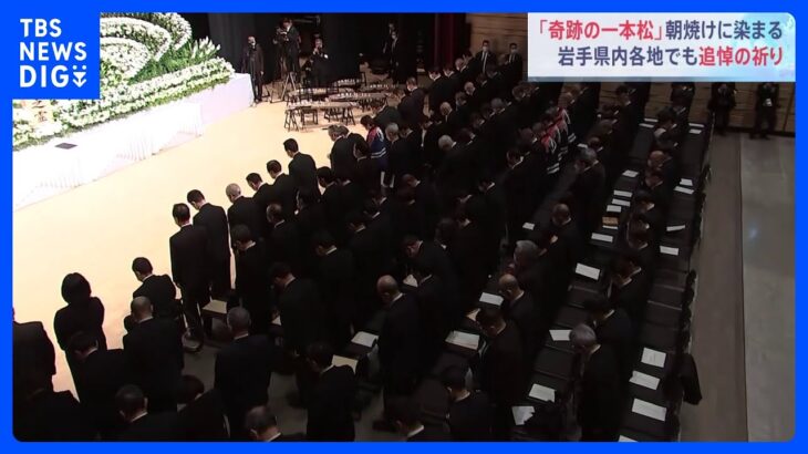 「1日1回は思い出す」 岩手では鎮魂の祈り 「奇跡の一本松」は朝焼けに染まる　今も1110人が行方不明｜TBS NEWS DIG