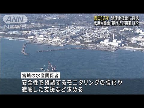 【震災12年】“処理水”放出　海産物輸出への風評被害に懸念(2023年3月7日)