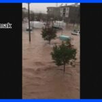 地震被災のトルコ南部　大雨・洪水で14人死亡｜TBS NEWS DIG