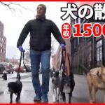 【アメリカ】“犬の散歩”で驚きの報酬　1日5時間で年収1500万円