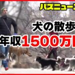 【バズニュースまとめ】犬の散歩で年収1500万円⁉/銃を持つ男が街中に…通行人が「タックル」/米・ケンタッキー州の高速道路に“ニワトリ”（日テレNEWS LIVE）