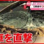 【大破】高さ約16メートル…大通りの街路樹が車を直撃　倒れたワケは　広島市
