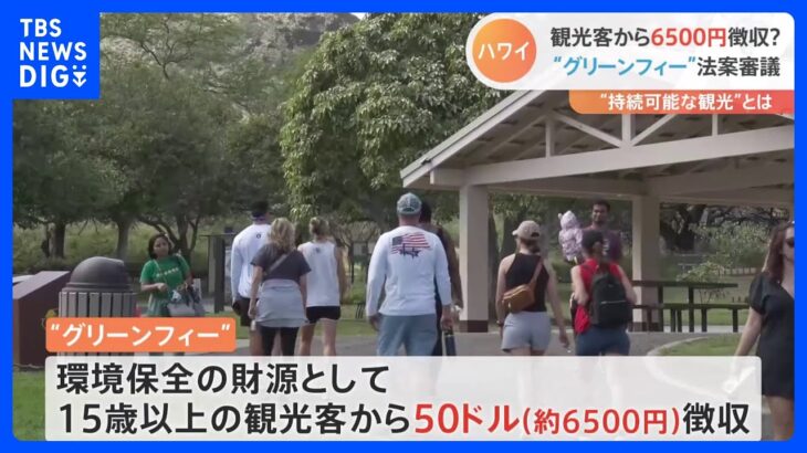 「足が遠のいてしまう」観光客1人あたり約6500円の“グリーンフィー”徴収がハワイで物議｜TBS NEWS DIG