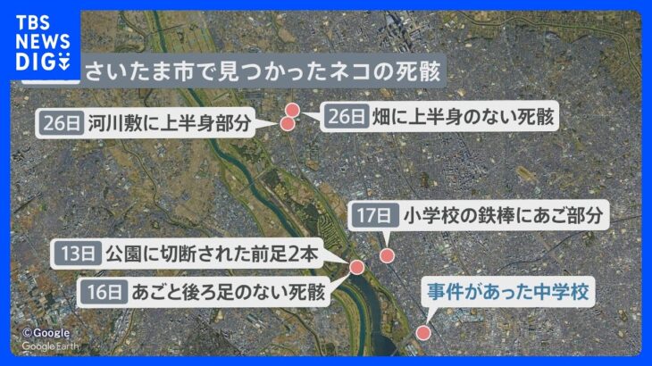 「生徒思いの優しい先生」教員切りつけた17歳の高校生逮捕 “ネコ殺し”にも関与か【news23】｜TBS NEWS DIG