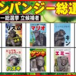 【チンパンジー総選挙】18日から開催 個性豊かな顔ぶれに注目 宮崎市