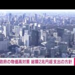 【速報】政府の物価高対策　総額2兆円超に　低所得世帯への一律3万円給付など(2023年3月20日)