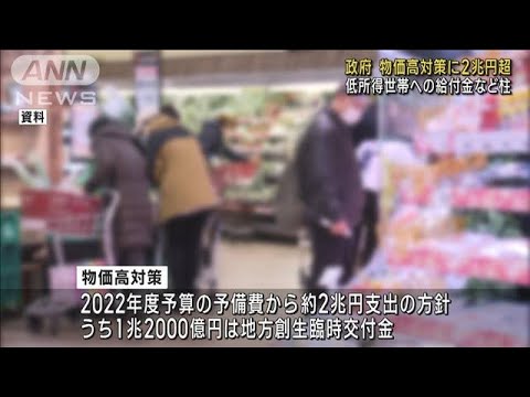 【速報】政府の物価高対策　総額2兆円超に　低所得世帯への一律3万円給付など(2023年3月20日)