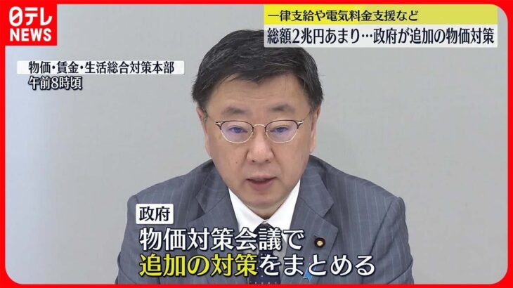 【総額2兆円余り】物価高騰の中…政府が追加の物価対策 一律支給や電気料金支援など