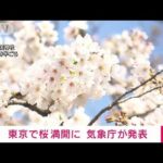 【速報】東京でソメイヨシノ満開　統計史上2番目の早さ　気象庁(2023年3月22日)