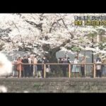 関東で“花見日和”　長雨が終わり春の暖かさも(2023年3月27日)