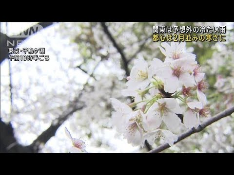 関東は予想外の雨と気温2月並み　桜長持ちにはウレシイ寒さ(2023年3月28日)