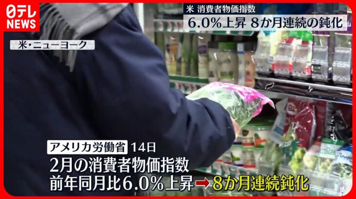 【アメリカ】2月の消費者物価指数 8か月連続で鈍化