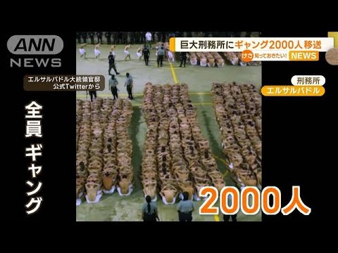 “ギャング2000人”上半身裸で…巨大刑務所に移送　1年で6万人超逮捕　エルサルバドル(2023年3月1日)