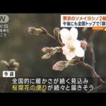 【桜前線いよいよ】東京が全国トップで開花か(2023年3月13日)
