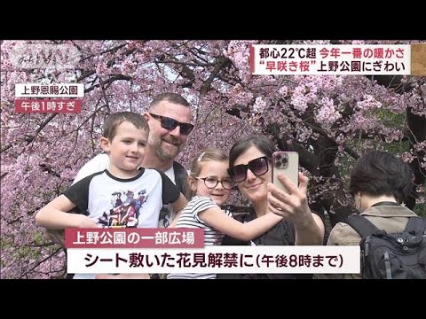 都心22℃超…今年一の暖かさ　“早咲き桜”上野公園にぎわい(2023年3月10日)