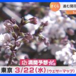 さくら、全国的に記録的な早さの開花！東京は22日に満開予想【SUNトピ】｜TBS NEWS DIG