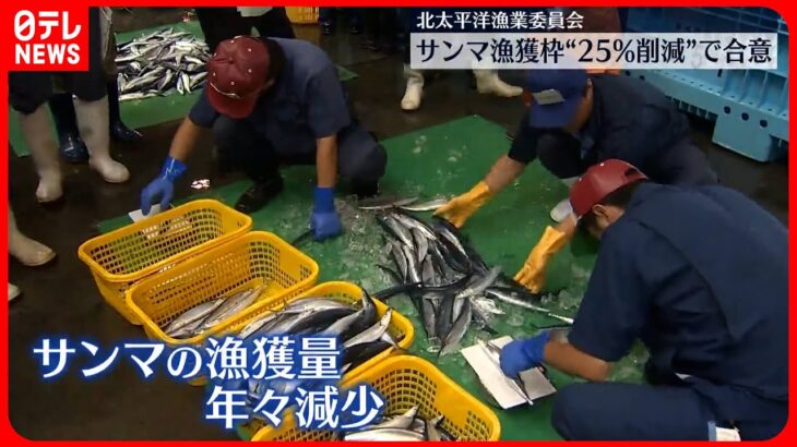 【漁獲量減少で】サンマ漁獲枠 約25％削減で合意