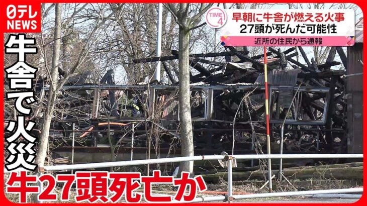 【牛舎で火災】27頭の乳牛すべて焼け死んだか　新潟・五泉市