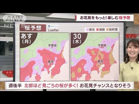 【関東の天気】あす27日、日差し復活!お花見日和(2023年3月26日)