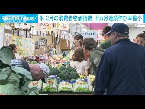 2月の米消費者物価指数　8カ月連続で伸びは縮小(2023年3月14日)