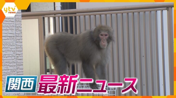 【ニュースライブ 3/14(火)】豊中の住宅街にサル出没/空飛ぶクルマ 人乗せて飛行実験/シカコピザ破産申請へ/アシカにキスできる⁉/パンダにホワイトデーのプレゼント/中学校で巣立ち ほか【随時更新】