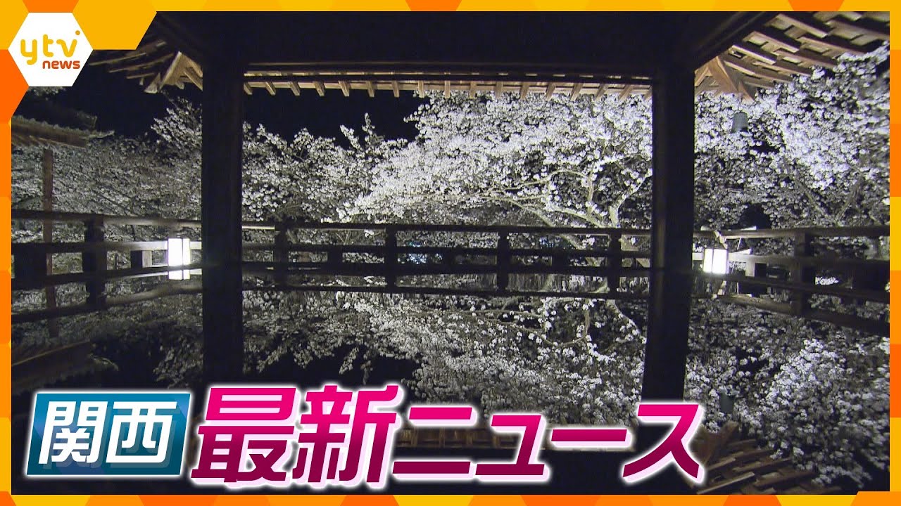 【ニュースライブ 3/30(木)】三井寺で満開の桜のライトアップ/警察官になりすまし“結婚詐欺”か、男を逮捕/保津川観光船転覆事故の乗客は最長400m流される/「カピバラ温泉」も春仕様ほか【随時更新】