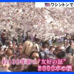米ワシントン 日米友好の証・3000本の桜が満開に　春の陽気のなか花見客でにぎわう｜TBS NEWS DIG