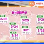 【3月15日 関東の天気】桜開花　いよいよ春本番｜TBS NEWS DIG