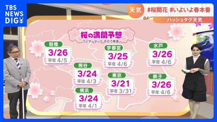 【3月15日 関東の天気】桜開花　いよいよ春本番｜TBS NEWS DIG