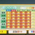 【3月4日(土)】すでに今週のスギ花粉飛散量『去年のピーク時』超える　土日の花粉は？【近畿地方】