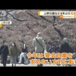 上野公園など 4年ぶり“花見解禁”　自粛求めず…メイン「さくら通り」は“宴会禁止”(2023年3月8日)