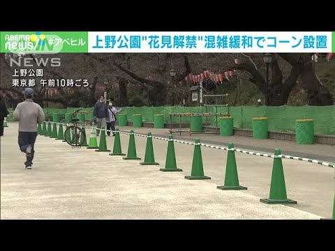 上野公園で花見が4年ぶり“飲食可能”に 混雑緩和へ(2023年3月13日)