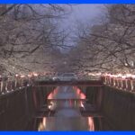 桜の名所で夜桜ライトアップが復活　目黒川は4年ぶり　隅田川でも「墨堤さくらまつり」始まる｜TBS NEWS DIG