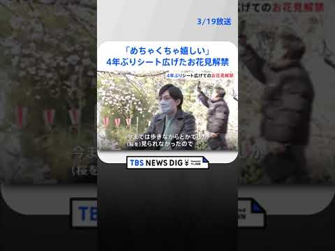 「めちゃくちゃ嬉しい」4年ぶりにシート広げたお花見解禁　上野公園に多くの花見客　公園により時間制限｜TBS NEWS DIG #shorts