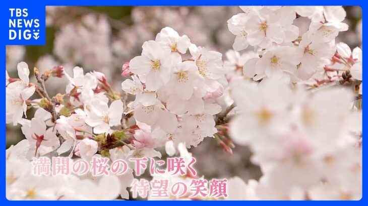 桜の下に咲いた4年ぶりの笑顔 ～東京・上野公園～【令和のサクラ】｜TBS NEWS DIG