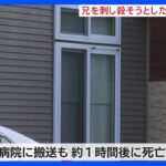 同居する44歳兄の腹を包丁で刺す　41歳男を殺人未遂容疑で逮捕　兄は死亡　秋田・横手市｜TBS NEWS DIG