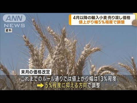 4月以降の輸入小麦売り渡し価格　値上げ5％で調整(2023年3月8日)