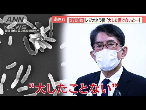 レジオネラ菌「大したことない」　旅館社長が連発…お湯交換は年2回　基準値3700倍も(2023年3月1日)