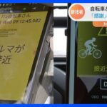 自転車と自動車の衝突を未然に防ぐ通信技術　実証実験開始　2025年以降の実用化目指す｜TBS NEWS DIG