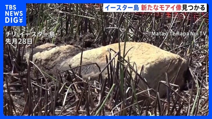 イースター島で新たなモアイ像発見　干上がった湖の底から｜TBS NEWS DIG