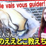 【広島弁】外国人さんに”美味しい牡蠣”を教えちゃろう！フランス語編　NNNセレクション