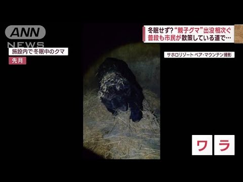 クマの出没相次ぎ襲われたケースも　冬眠しているはずじゃ？(2023年3月2日)