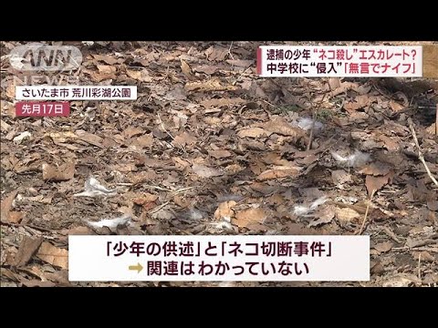 逮捕の少年“ネコ殺し”エスカレート？「物足りず人に…」心理か(2023年3月2日)