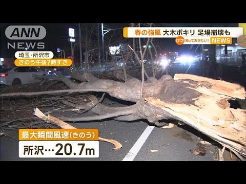 関東で“天気急変”　“春の強風”吹き…大木ポキリ　足場崩壊も(2023年3月3日)