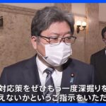 岸田総理が与党政調会長に物価高対策を指示　再来週までに提言求める「もう一度深掘りを」｜TBS NEWS DIG